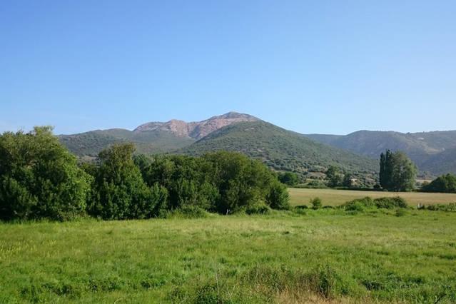 Ferme de Chiuni Villa Cargèse Cameră foto