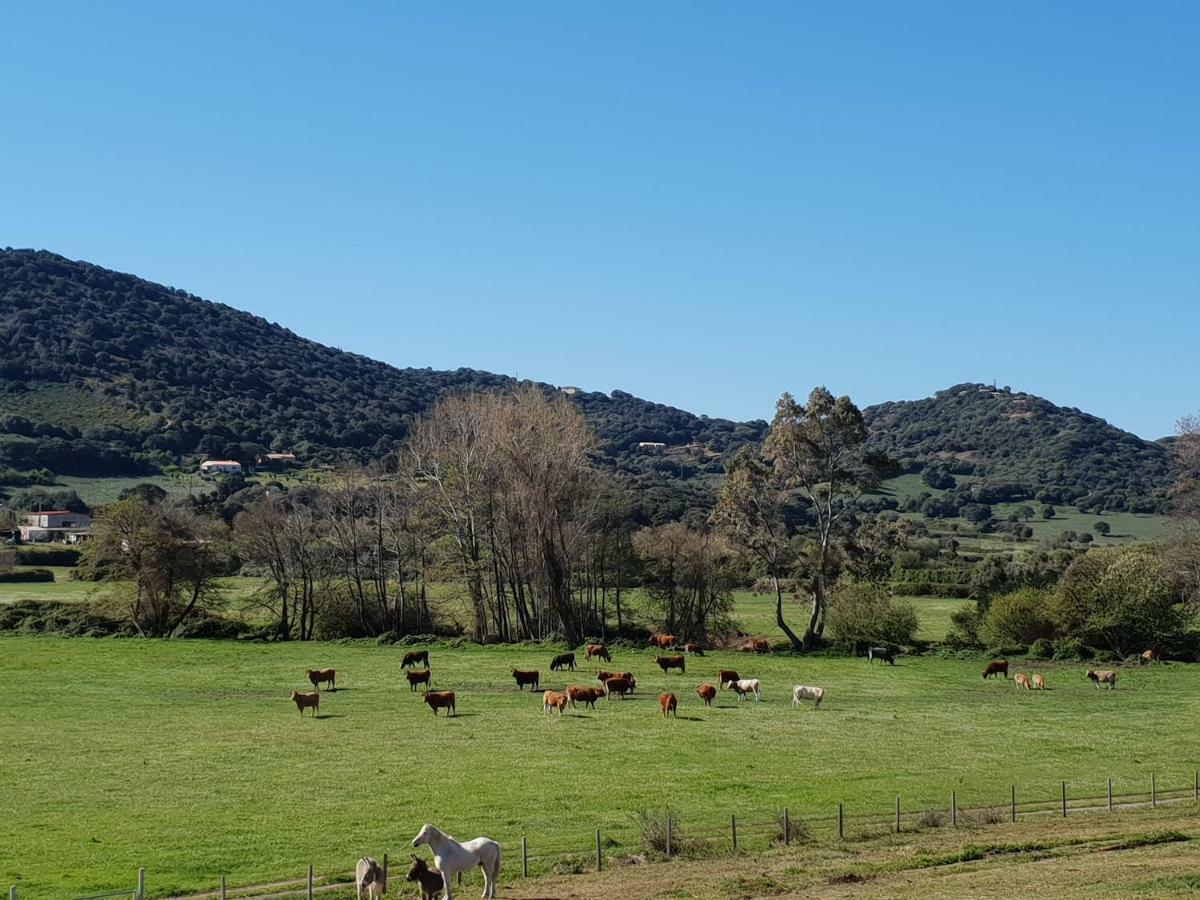 Ferme de Chiuni Villa Cargèse Exterior foto
